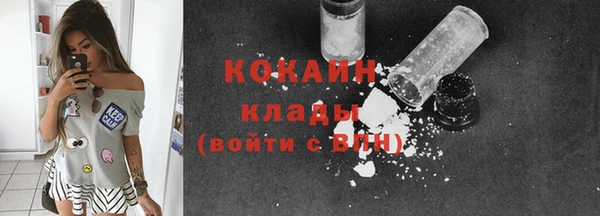 индика Кодинск