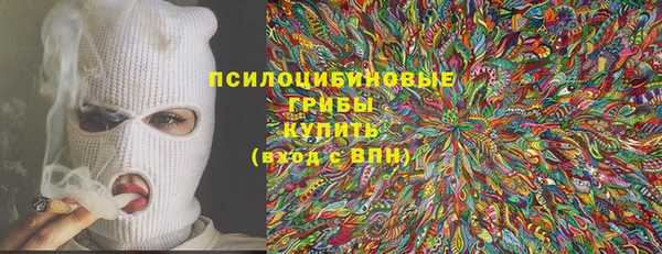 шишки Киреевск