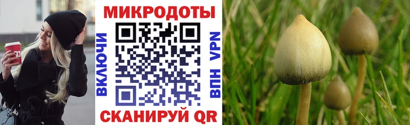 Галлюциногенные грибы Magic Shrooms  Щучье 